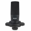 MicroPhone Audient EVO SR1