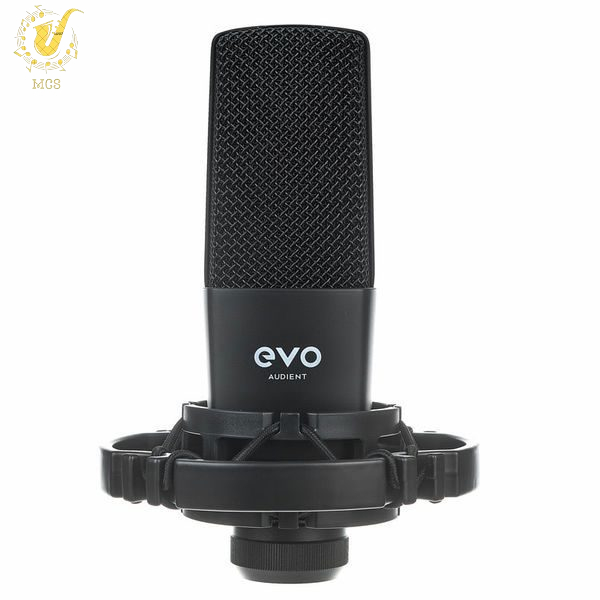 MicroPhone Audient EVO SR1