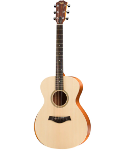 Taylor Academy A12E (America)