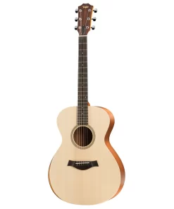 Taylor Academy A12E (America)